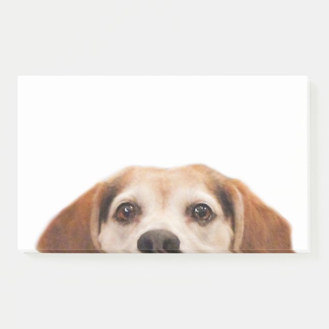 Niedlicher Beagle Hund Moderner Trend Post-it Klebezettel (Vorderseite)