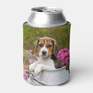 Niedlicher Beagle Hund Welpe in einer Milchkühne F Dosenkühler