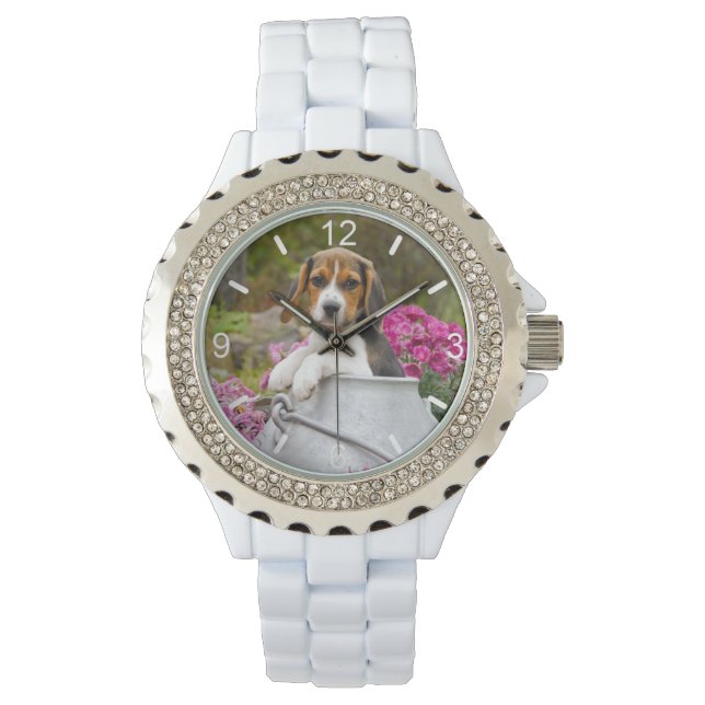 Niedlicher Beagle Hund Welpe Milk Churn Frauensche Armbanduhr (Vorderseite)