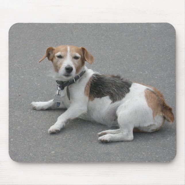 Niedlicher Beagle Mongrel Mousepad (Vorne)