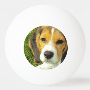 Niedlicher Beagle Tischtennisball