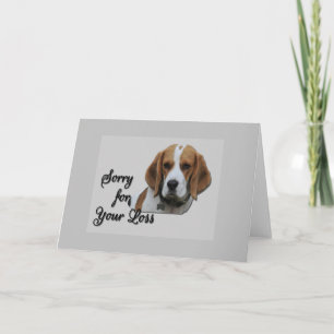Niedlicher Beagle Tri farbiges Beileid Entschuldig Karte
