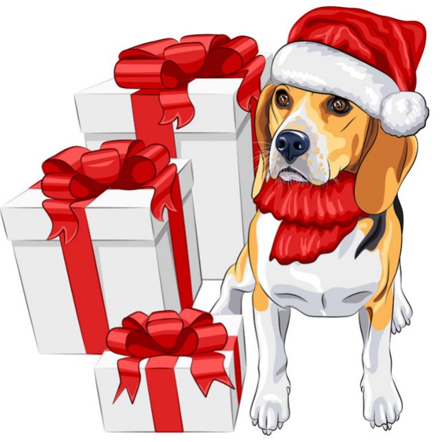 Niedlicher Beagle Weihnachten Postkarte (Festive Dog with Santa Claus Hat and Gift Boxes Post Card!)