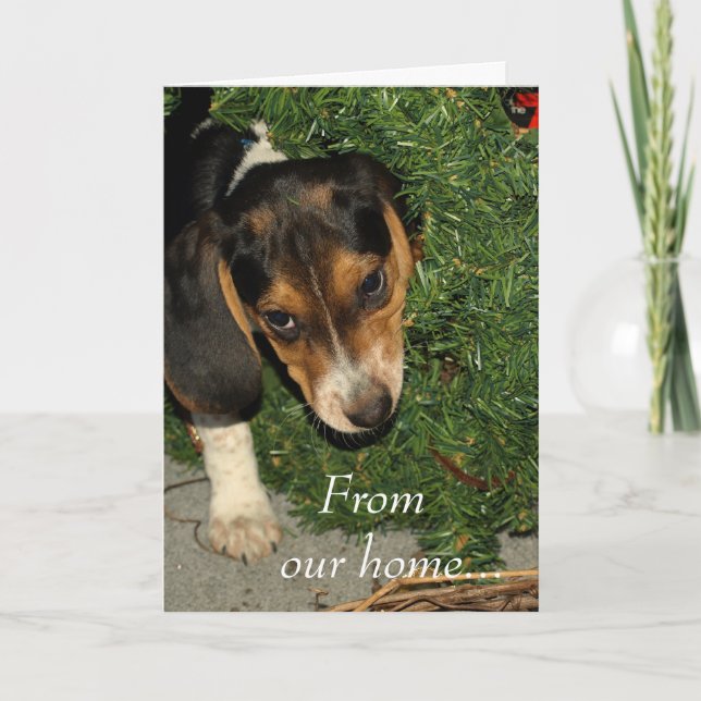 Niedlicher Beagle Welpe Snoopy - Weihnachten (Vorderseite)