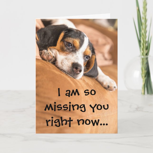 Niedlicher Beagle Welpe Vermisst Sie Zitat Karte (Vorderseite)
