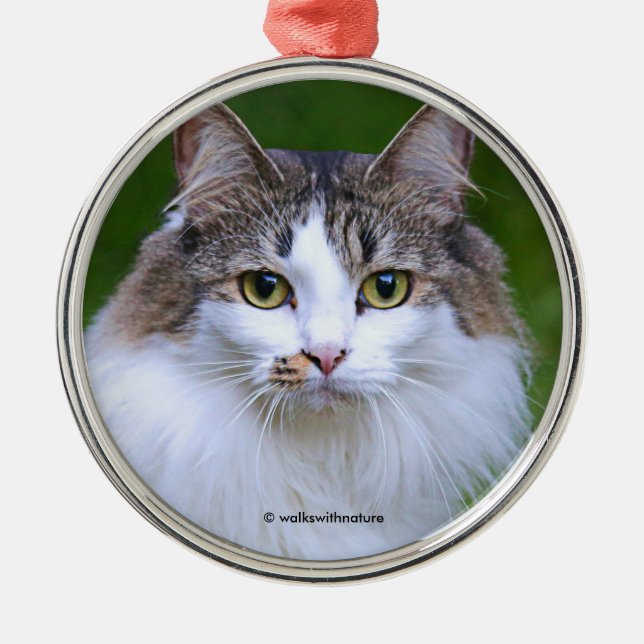 Niedlicher Besuch der Calico Katze im Garten Ornament Aus Metall (Vorne)