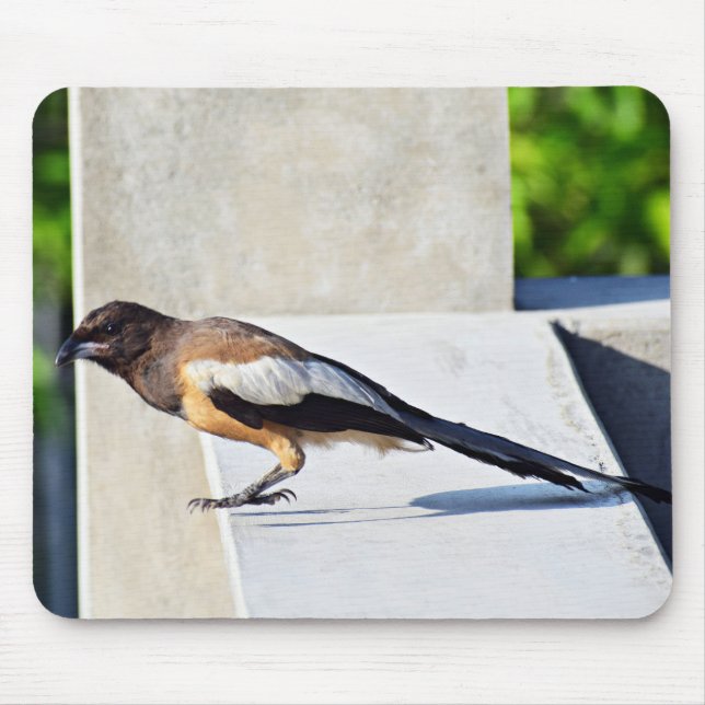 Niedlicher Bird Mousepad (Vorne)