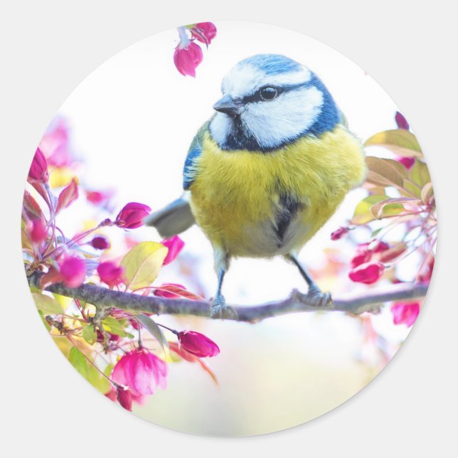 Niedlicher Bird Runder Aufkleber (Vorderseite)