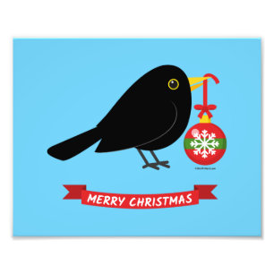 Niedlicher Blackbird mit Weihnachtsball Fotodruck