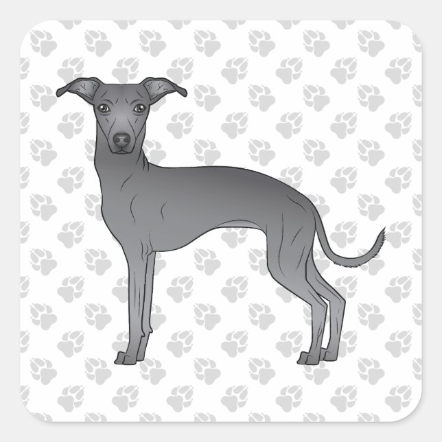 Niedlicher, blauer Grauhund mit Pfoten Quadratischer Aufkleber (Vorderseite)