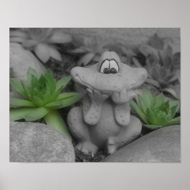 Niedlicher Blumengartenfrosch, teilweise farbig Poster (Vorne)