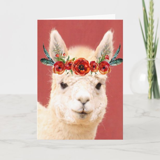 Alpaka Geburtstagskarten Zazzle.ch