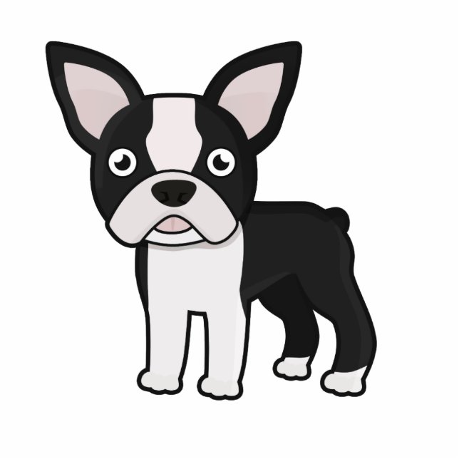 Niedlicher Boston-Terrier Fotoskulptur Ornament (Vorne)