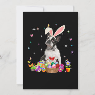 Niedlicher Boston Terrier Osterntag Bunny Egs Oste Ankündigung