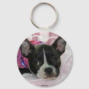 Niedlicher Boston-Terrier-Welpe Schlüsselanhänger