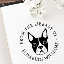 Niedlicher Bostoner Terrier aus der Buchbibliothek