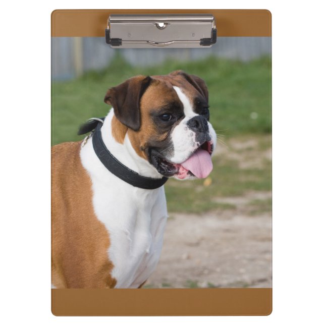 Niedlicher Boxer/Hund-Foto-Zwischenablage Klemmbrett (Vorderseite)