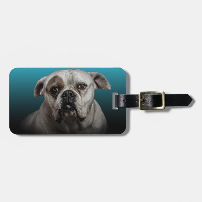 Niedlicher Boxer Hund mit blauem schwarzem Hinterg Gepäckanhänger (Vorderseite horizontal)