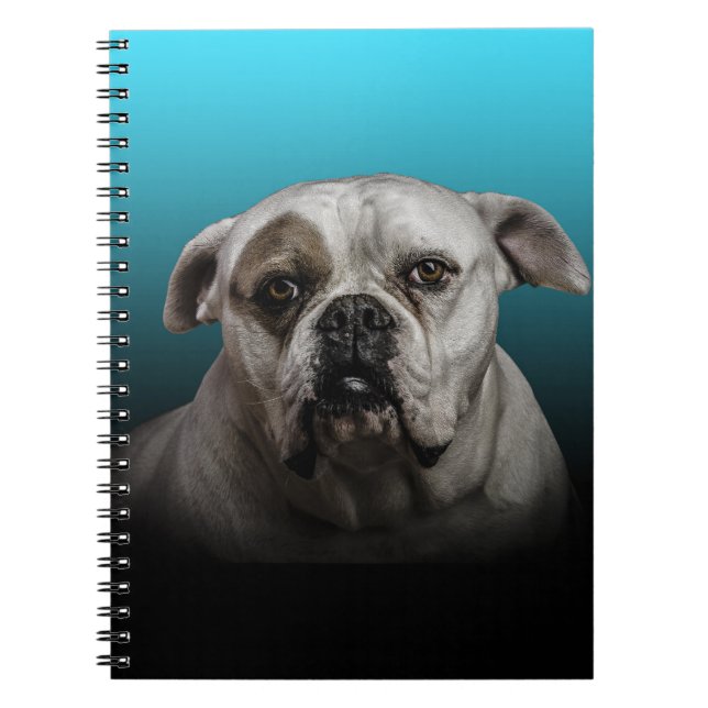 Niedlicher Boxer Hund mit blauem schwarzem Hinterg Notizblock (Vorderseite)