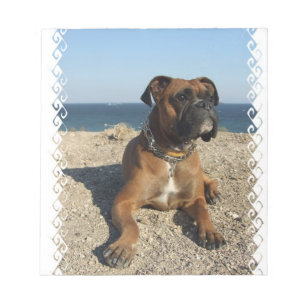 Niedlicher Boxer-Hundenotizblock Notizblock