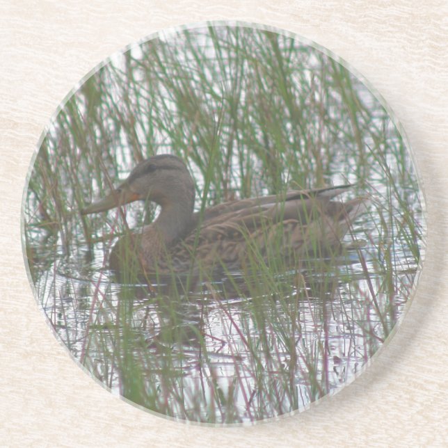 Niedlicher Braunente Naturgetränk Untersetzer (Vorne)