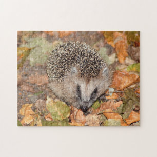 Niedlicher brauner Igel auf Blätter Jigsaw Puzzle