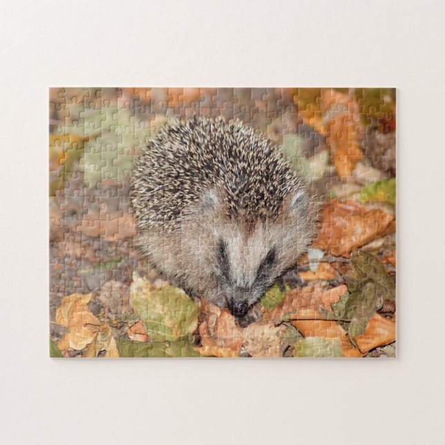 Niedlicher brauner Igel auf Blätter Jigsaw Puzzle (Horizontal)