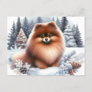 Niedlicher brauner Spitz Winterart Postkarte