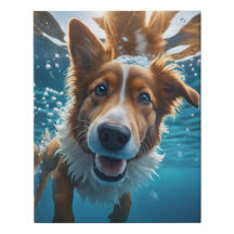 Niedlicher brauner und weißer Hund unter Wasser