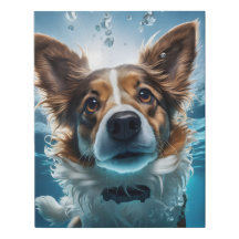 Niedlicher brauner und weißer Hund Unterwasser-Sch