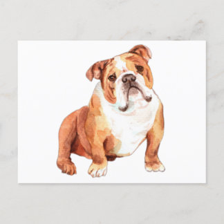 Niedlicher britischer Bulldog-Chat Postkarte