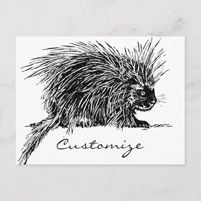 Niedlicher britischer Igel Thunder_Cove Postkarte (Vorderseite)