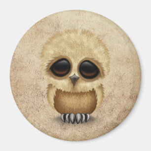 Niedlicher Brown-Baby-EuleChic auf gealterter Magnet