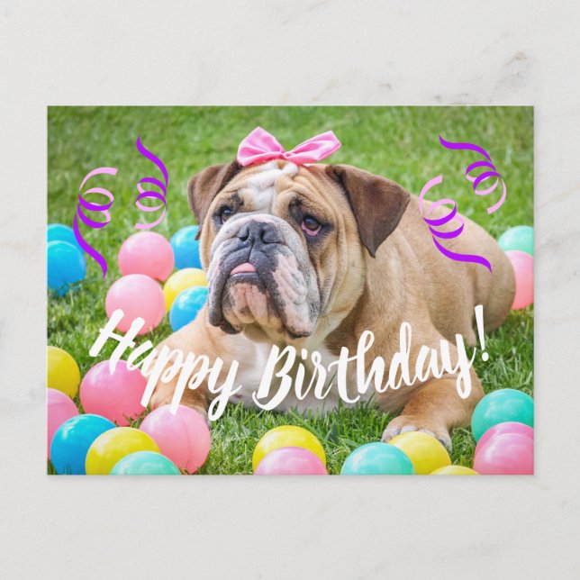 Niedlicher Bulldog Happy Birthday Postkarte (Vorderseite)