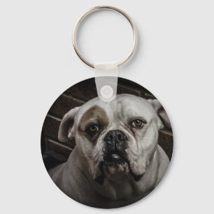 Niedlicher Bulldog Schlüsselanhänger