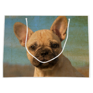 Niedlicher Bulldog Welpe - Funny Dog Head Foto . Große Geschenktüte