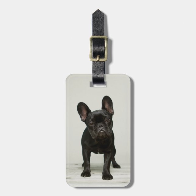 Niedlicher Bulldog-Welpe Gepäckanhänger (Vorderseite vertikal)