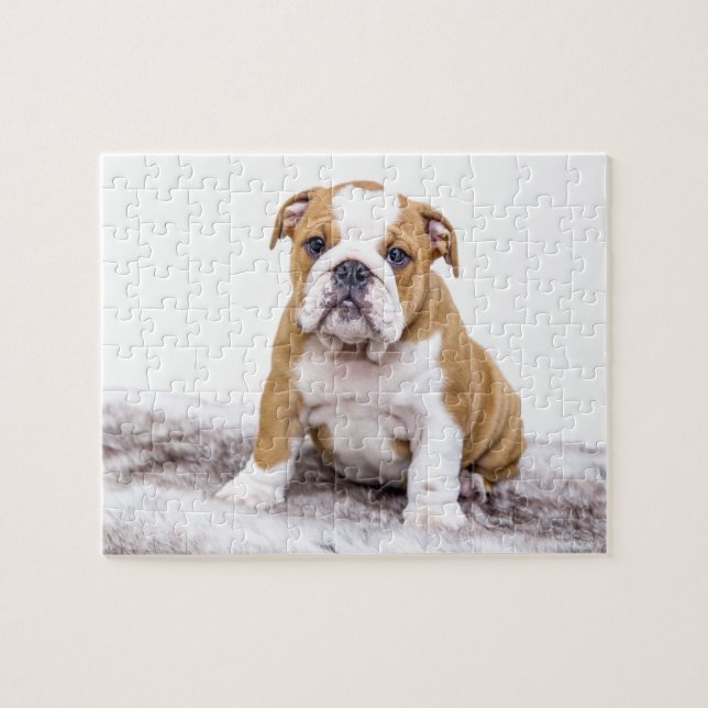 Niedlicher Bulldoggen-Welpe (Horizontal)