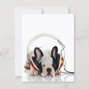 Niedlicher Bulldogin   English Bulldog Lover Einladung