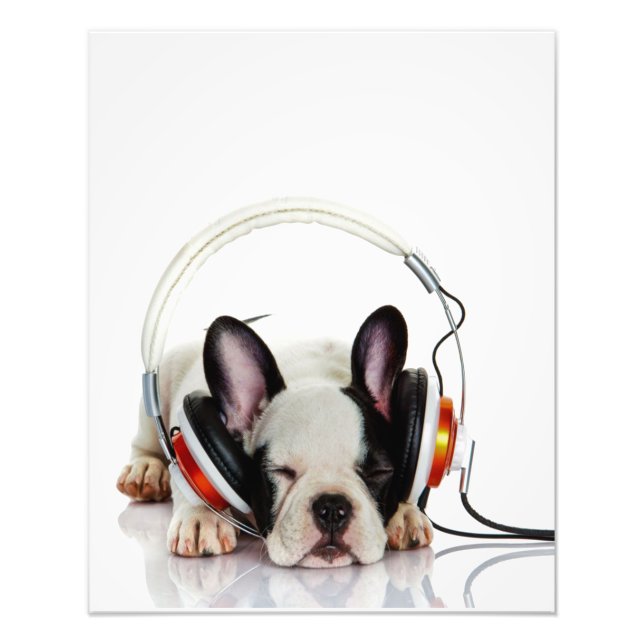 Niedlicher Bulldogin | English Bulldog Lover Fotodruck (Vorne)
