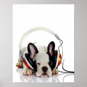 Niedlicher Bulldogin   English Bulldog Lover Poster