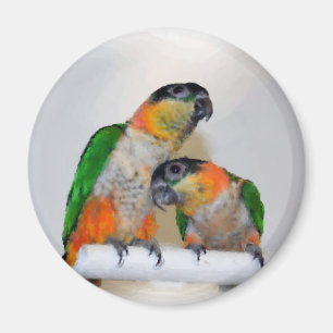 Niedlicher Caique-Papageien-Paarewatercolor-Magnet Magnet