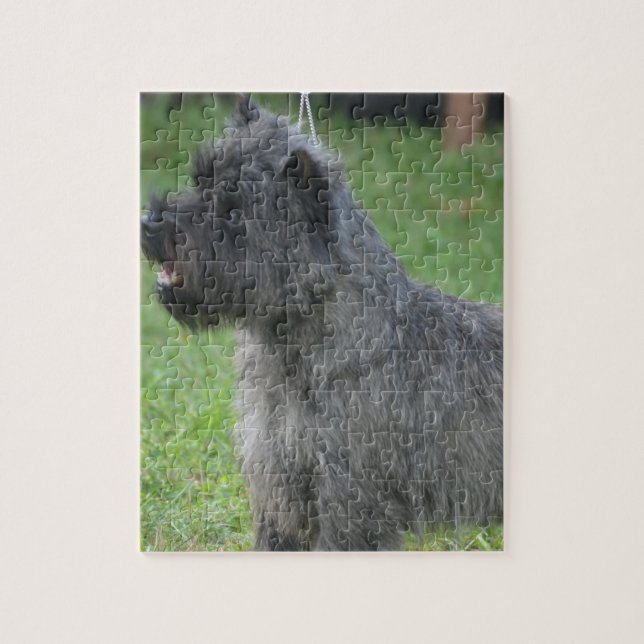 Niedlicher Cairn-Terrier (Vertikal)