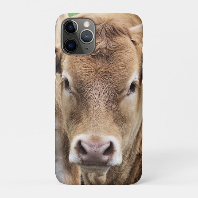 NIEDLICHER CALF Case-Mate iPhone HÜLLE (Rückseite)