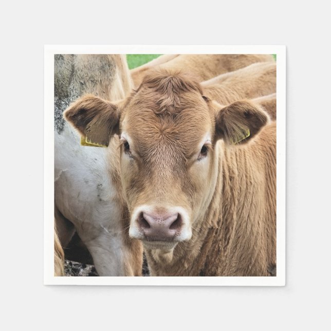 NIEDLICHER CALF SERVIETTE (Vorderseite)