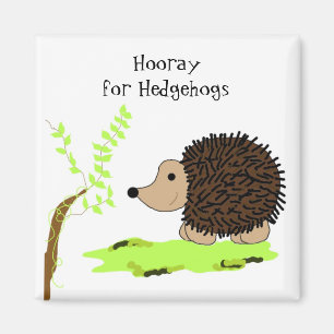 Niedlicher Cartoon Igel Magnet