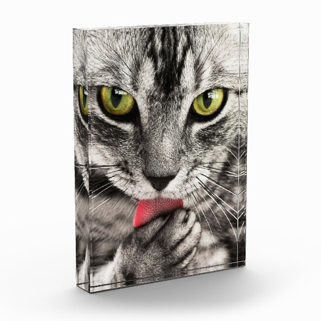 Niedlicher Cat Portrait Foto Block (Links)