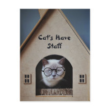 Niedlicher Cat Spaß Funny Cats haben Mitarbeiteran