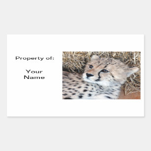 Niedlicher Cheetah-CUB-Foto-Namen-Aufkleber/ Rechteckiger Aufkleber