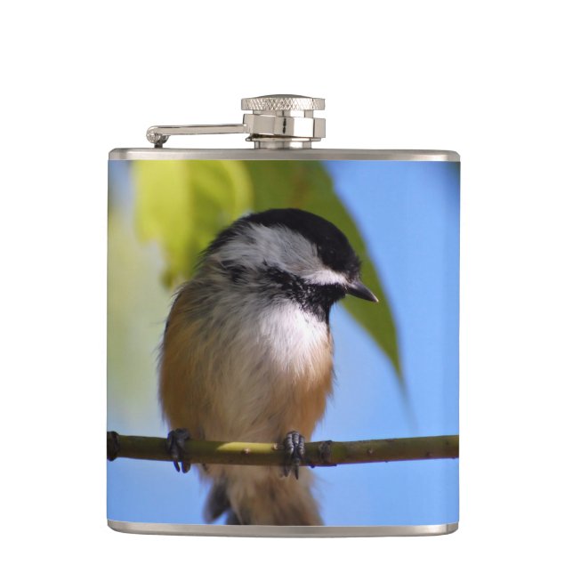 Niedlicher Chickadee auf einer Flachmann (Vorderseite)